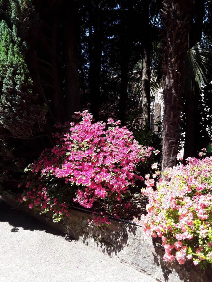 Villa Coris Ferienwohnung Magnolia Meran Buitenkant foto