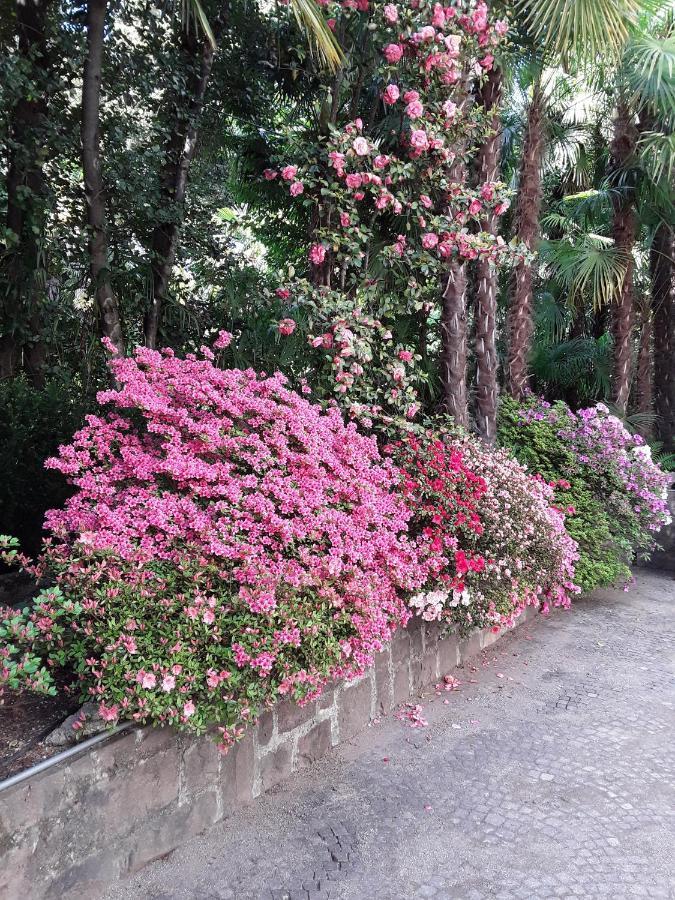 Villa Coris Ferienwohnung Magnolia Meran Buitenkant foto