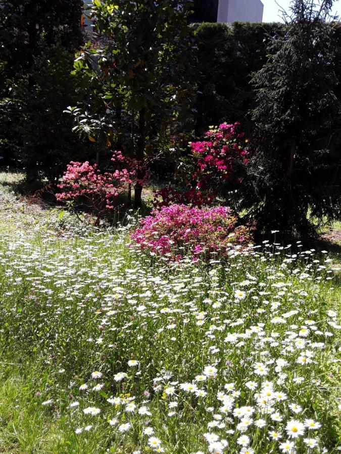 Villa Coris Ferienwohnung Magnolia Meran Buitenkant foto